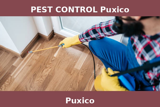 PEST CONTROL Puxico